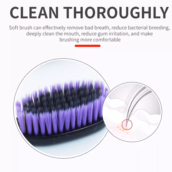OEM Personal Cleaning Dental Kit Household Items Adult Toothbrush